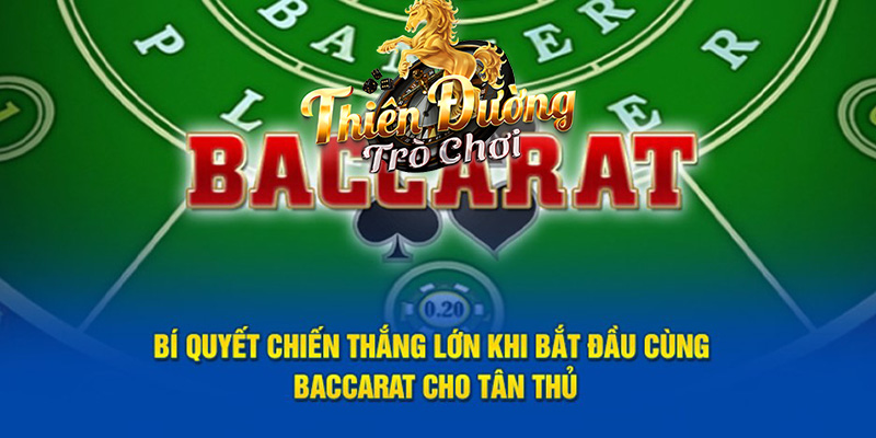 Game Bài TDTC - Bài Đếm Lá Cực Hấp Dẫn Đang Chờ Bạn Khám Phá